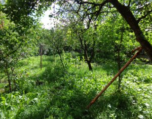 Telek eladó on Cluj-napoca, Zóna Andrei Muresanu