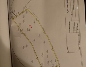 Telek eladó on Feleacu