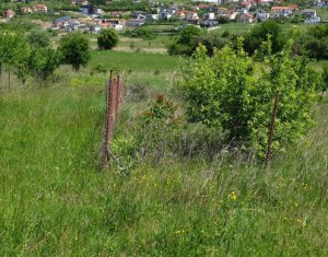 , 710m2 on Cluj-napoca, Zóna Borhanci