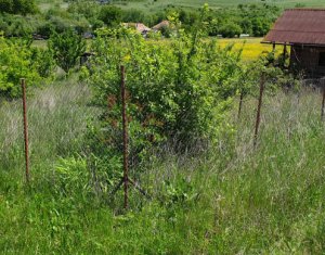 Telek eladó on Cluj-napoca, Zóna Borhanci