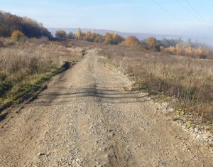 , 1000m2 on Cluj-napoca, Zóna Europa