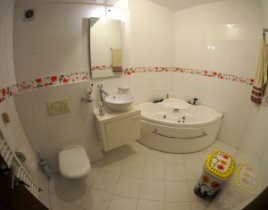 Appartement 1 chambres à louer dans Cluj-napoca, zone Buna Ziua