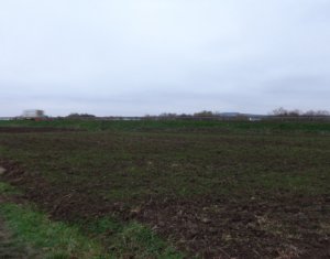 Telek eladó on Sannicoara