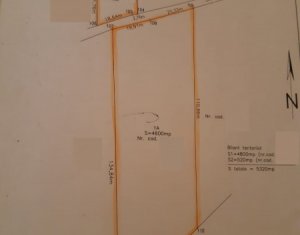 Telek eladó on Sannicoara