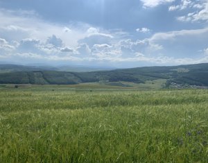 Ház 4 szobák eladó on Popesti