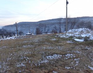 Telek eladó on Feleacu