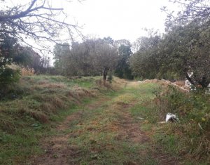 Terrain à vendre dans Feleacu, zone Centru