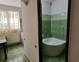 Studio à louer dans Cluj-napoca, zone Plopilor