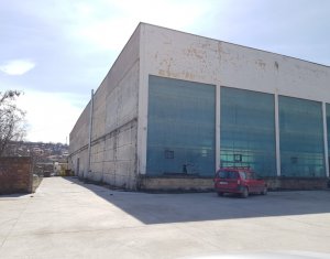 Hala - depozit, 750mp, acces TIR, zona Corneliu Coposu