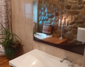 Ház 1 szobák kiadó on Cluj-napoca, Zóna Grigorescu