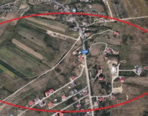 , 2900m2 on Cluj-napoca, Zóna Borhanci
