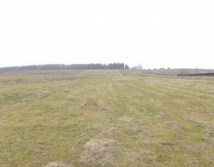 , 8400m2 on Salistea Noua