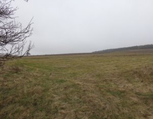 Telek eladó on Salistea Noua