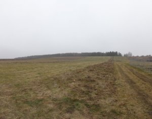 Telek eladó on Salistea Noua