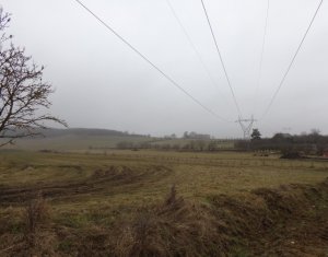 , 11580m2 on Salistea Noua