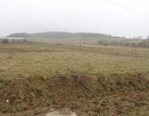 Telek eladó on Salistea Noua