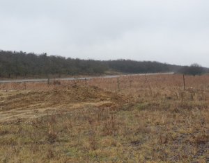 Telek eladó on Cluj-napoca, Zóna Faget