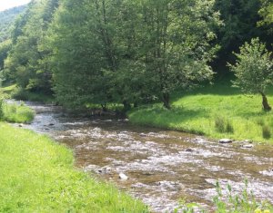 , 18000m2 on Valea Draganului