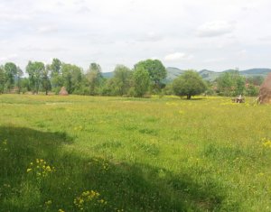 Telek eladó on Valea Draganului