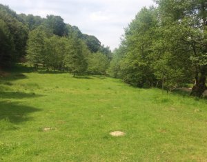 Telek eladó on Valea Draganului