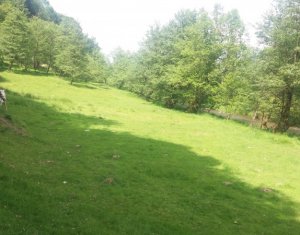 Telek eladó on Valea Draganului