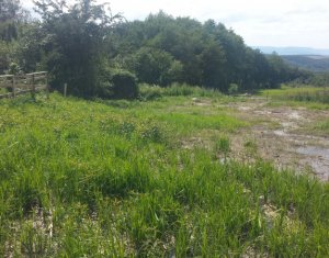 , 1419m2 on Cluj-napoca, Zóna Faget