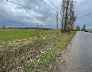 Telek eladó on Tureni