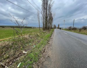 Telek eladó on Tureni