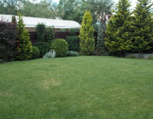 Ház 5 szobák eladó on Cluj-napoca, Zóna Andrei Muresanu