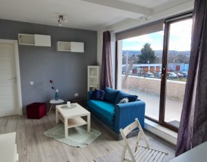 Appartement 2 chambres à louer dans Cluj-napoca, zone Andrei Muresanu