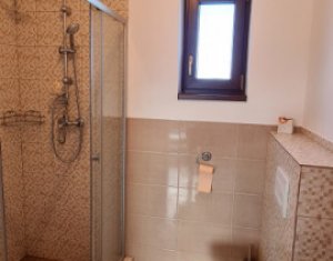 Appartement 2 chambres à louer dans Cluj-napoca, zone Andrei Muresanu