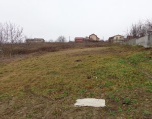 , 537m2 on Cluj-napoca, Zóna Iris