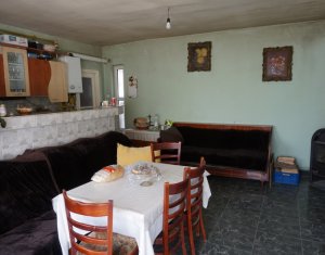 Maison 6 chambres à vendre dans Cluj-napoca, zone Iris
