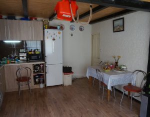 Maison 6 chambres à vendre dans Cluj-napoca, zone Iris