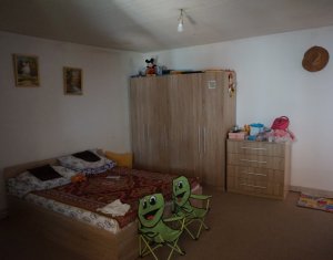 Maison 6 chambres à vendre dans Cluj-napoca, zone Iris