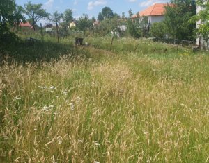 Telek eladó on Feleacu