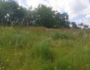 Telek eladó on Feleacu