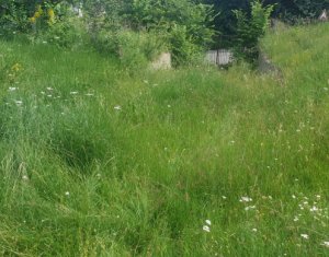 Telek eladó on Feleacu