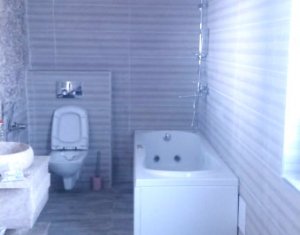 Appartement 3 chambres à louer dans Cluj-napoca, zone Europa