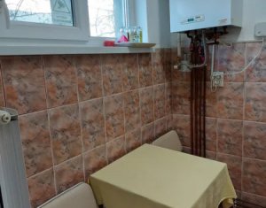 Appartement 1 chambres à vendre dans Cluj-napoca, zone Baciu