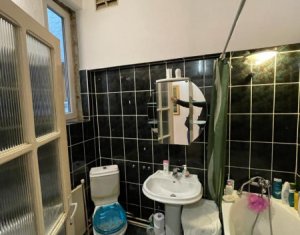 Maison 2 chambres à vendre dans Cluj-napoca, zone Andrei Muresanu