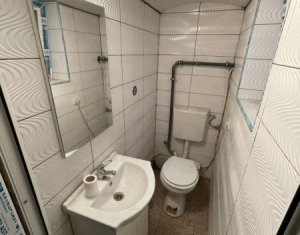 Maison 2 chambres à vendre dans Cluj-napoca, zone Andrei Muresanu