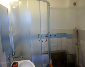 Appartement 1 chambres à louer dans Cluj-napoca, zone Iris