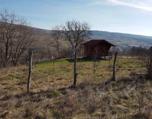 Telek eladó on Cluj-napoca, Zóna Iris