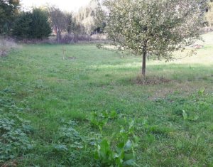 , 1000m2 on Feleacu, Zóna Centru