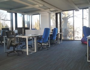 Ház 4 szobák kiadó on Cluj-napoca, Zóna Centru