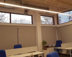 Ház 5 szobák kiadó on Cluj-napoca, Zóna Centru