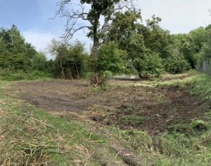 , 1237m2 on Cluj-napoca, Zóna Faget