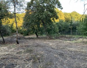 Telek eladó on Cluj-napoca, Zóna Faget