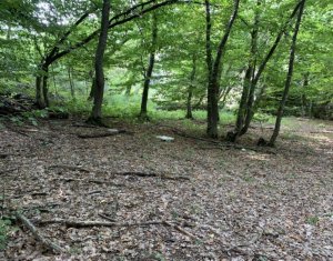 Telek eladó on Cluj-napoca, Zóna Faget